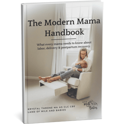 The Modern Mama Handbook - Product Image